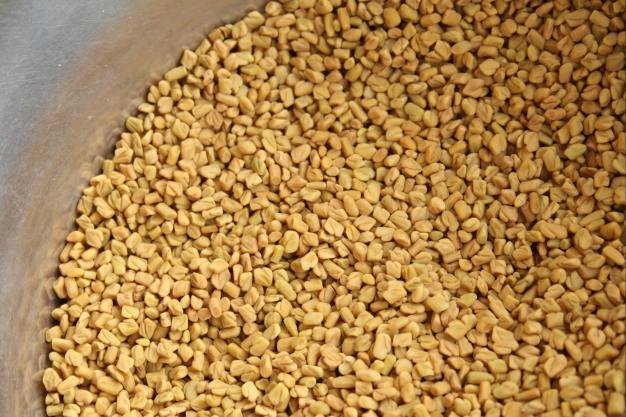 Fenugreek