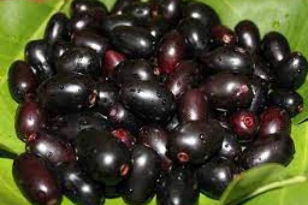 Jamun